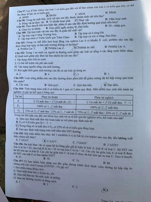 Thi THPQG 2020: Đề thi và đáp án môn Sinh học mã đề 206