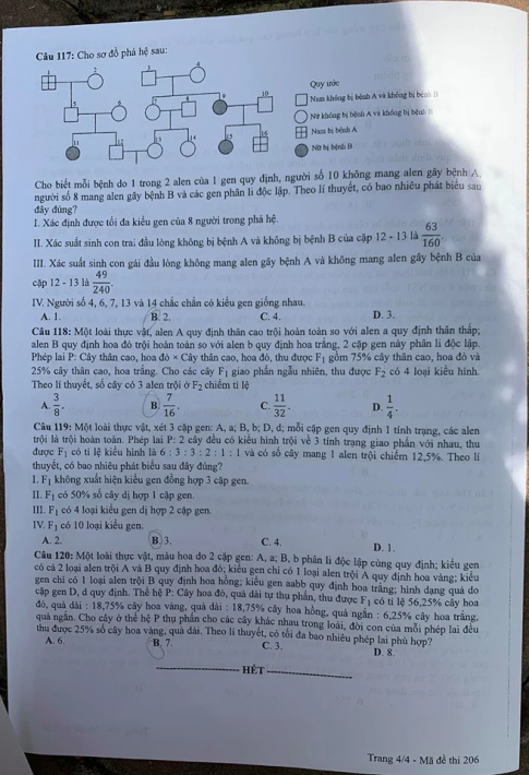 Thi THPQG 2020: Đề thi và đáp án môn Sinh học mã đề 206