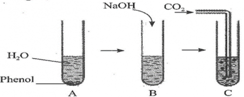 Thực hiện các thí nghiệm sau:  - Cho phenol vào ống nghię̂m, thêm nước và lắc đều ống nghiệm thấy dung dịch có màu trắng đục (Hình A ).  - Cho dung dịch NaOH vào ống nghiệm thấy dung dịch chuyển sang trong suốt (Hình B).  - Sục khí CO2 vào ống nghiệm thấy dung dịch chuyển màu trắng đụ̣c như ban đầu (Hình C).  Giải thích hiện tượng trong các thí nghiệm trên và viết các phương trình hoá học.