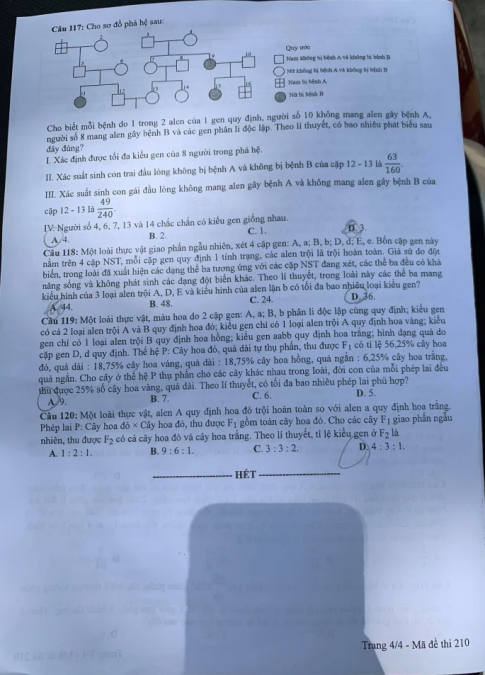 Thi THPQG 2020: Đề thi và đáp án môn Sinh học mã đề 210