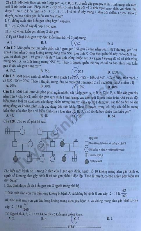 Thi THPQG 2020: Đề thi và đáp án môn Sinh học mã đề 217