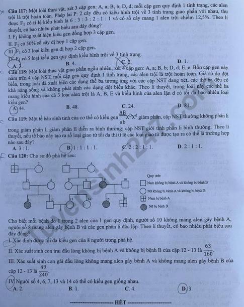 Thi THPQG 2020: Đề thi và đáp án môn Sinh học mã đề 219