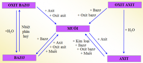 Hãy vẽ mũi tên thể hiện sự chuyển hóa giữa các loại hợp chất vô cơ trong sơ đồ sau