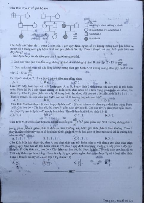 Thi THPQG 2020: Đề thi và đáp án môn Sinh học mã đề 221