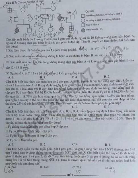 Thi THPQG 2020: Đề thi và đáp án môn Sinh học mã đề 222