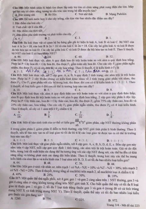 Thi THPQG 2020: Đề thi và đáp án môn Sinh học mã đề 223