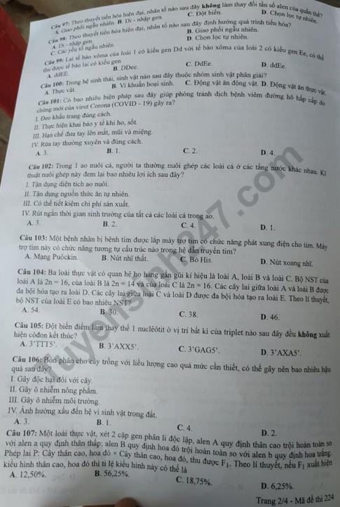 Thi THPQG 2020: Đề thi và đáp án môn Sinh học mã đề 224