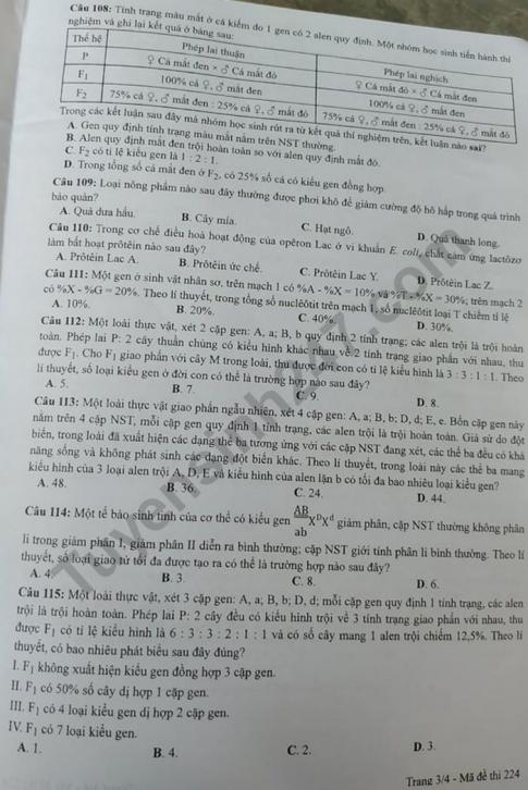 Thi THPQG 2020: Đề thi và đáp án môn Sinh học mã đề 224