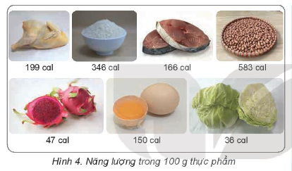 Thực phẩm cung cấp nhiều năng lượng thuộc nhóm chất dinh dưỡng nào? Thực phẩm cung cấp ít năng lượng thuộc nhóm chất dinh dưỡng nào?