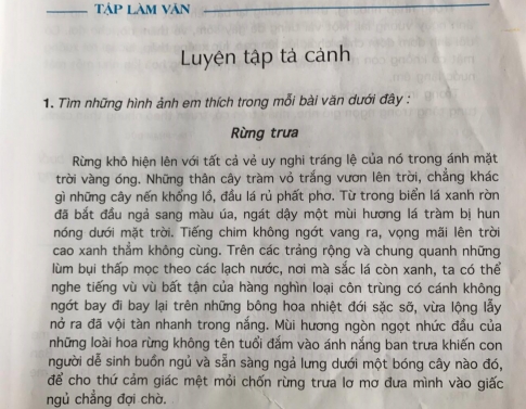 Giải bài Tập làm văn: Luyện tập tả cảnh trang 21