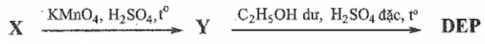 Diethyl phthalate (còn gọi là DEP) được sử dụng làm thuốc trị ghẻ ngứa, côn trùng đốt. DEP có chứa vòng benzene và hai nhóm thế ở vị trí ortho. DEP được tổng hợp từ hydrocarbon thơm X có công thức phân tử C8H10 theo sơ đồ sau đây. Xác định công thức cấu tạo của X, Y, DEP.