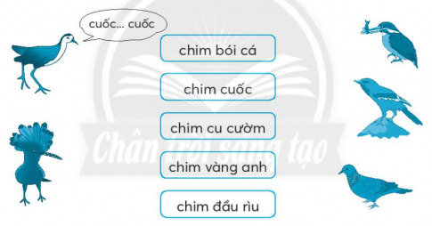 [CTST] Giải VBT Tiếng Việt 2 bài 1: Chuyện quả bầu