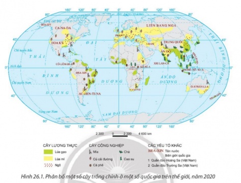 Giải bài 26 Địa lí ngành nông nghiệp, lâm nghiệp, thủy sản