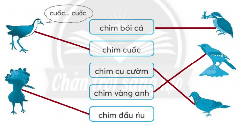 [CTST] Giải VBT Tiếng Việt 2 bài 1: Chuyện quả bầu