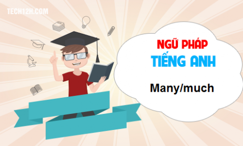 Cách sử dụng much, many trong tiếng Anh