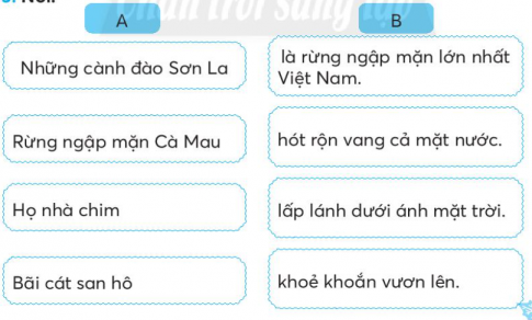 [CTST] Giải VBT Tiếng Việt 2 bài 2: Sóng và cát ở Trường Sa