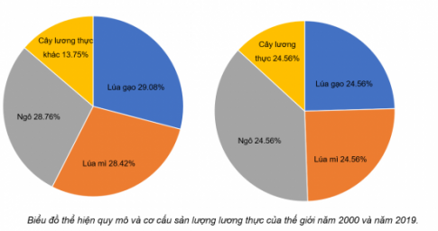 Giải bài 27 Thực hành: Vẽ và nhận xét biểu đồ về sản lượng lương thực của thế giới