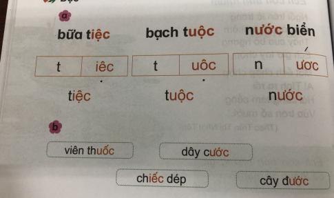 [Phát triển năng lực] Tiếng việt 1 bài 15C: iêc, uôc, ươc