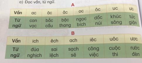 [Phát triển năng lực] Tiếng việt 1 bài 15D: Ôn tập ac- ăc- âc, oc - ôc, uc - ưc, ich - êch - ach, iêc - uôc - ươc