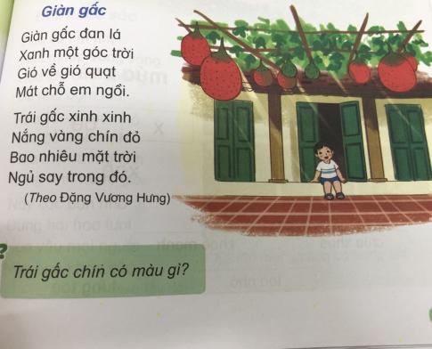 [Phát triển năng lực] Tiếng việt 1 bài 15D: Ôn tập ac- ăc- âc, oc - ôc, uc - ưc, ich - êch - ach, iêc - uôc - ươc