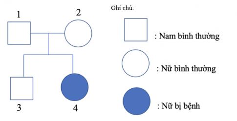 Trắc nghiệm sinh học 9 bài 28: Phương pháp nghiên cứu di truyền người (P2)