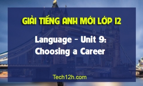 Langugage Unit 9: Choosing a Career