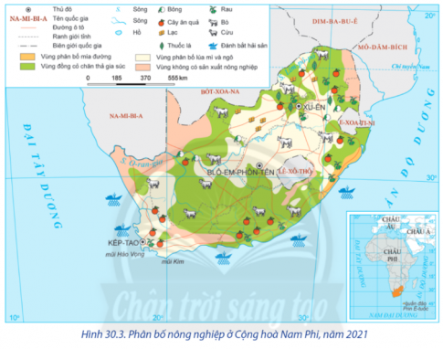  Quan sát Bản đồ phân bố nông nghiệp ở Cộng hòa Nam Phi năm 2021 và kể tên những cây trồng ở phía bắc của quốc gia này. 