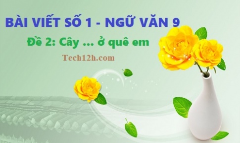 Văn mẫu 9 bài viết số 1 đề 2: Thuyết minh một loại cây ở quê em hay nhất (cây xoài, cây tre, cây cao su, cây dừa)