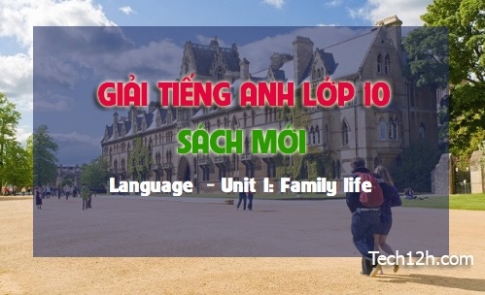 Language Unit 1: Family life