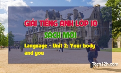 Language Unit 2: Your body and you