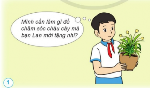 Em hãy đưa ra lời khuyên giúp bạn Nam chăm sóc cây. 