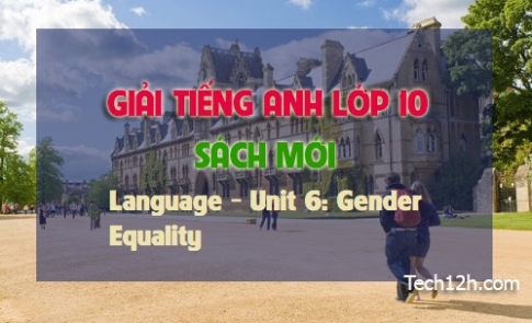 Language Unit 6: Gender Equality