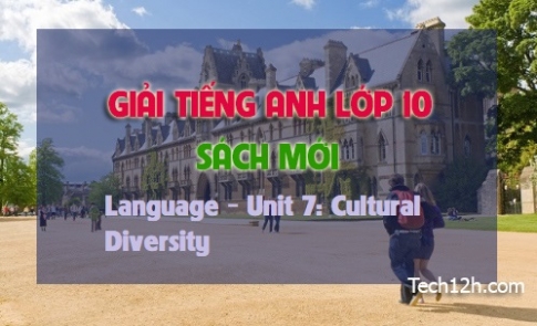 Language Unit 7: Cultural Diversity