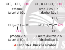  Quan sát hình 16.1 và hình 16.2 cho biết nguyên tử carcbon liên kết với nhóm chức hydroxy có đặc điểm gì? Cách xác định bậc alcohol như thế nào