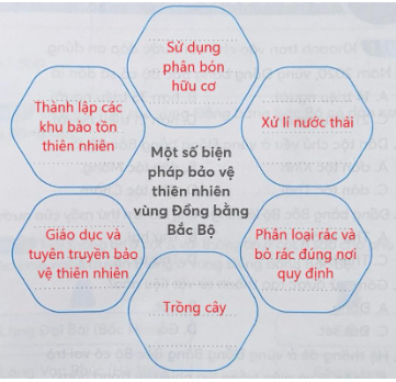 Bài tập 8: Hoàn thành sơ đồ dưới đây về một số biện pháp bảo vệ thiên nhiên ở vùng Đồng bằng Bắc Bộ