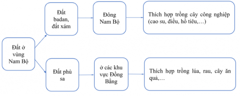 Bài tập 5: Hoàn thành sơ đồ dưới đây về đặc điểm đất của vùng Nam Bộ