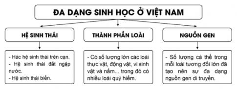 Câu 3. Chứng minh tính đa dạng sinh học của Việt Nam bằng cách hoàn thiện sơ đồ theo mẫu sau: