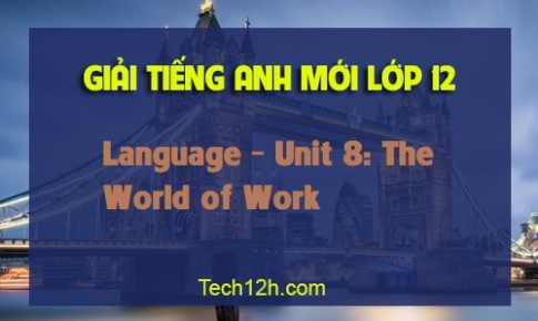 Language Unit 8: The World of Work