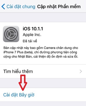 Fix lỗi: vào App store trên Iphone không tải được ứng dụng