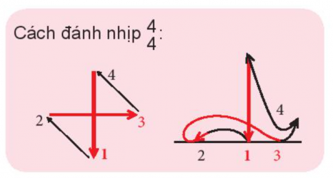 [KNTT] Giải SBT Âm nhạc 6 bài 3: Nhớ ơn thầy cô