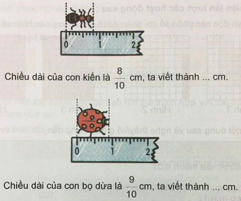 Giải câu 2 trang 50 phần C VNEN toán 5 tập 1