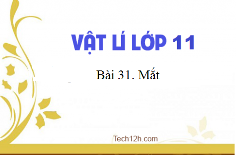 Giải bài 31 vật lí 11: Mắt sgk Vật lí 11 trang 196-204