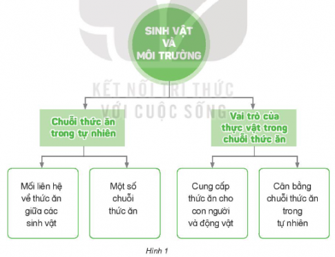 Chia sẻ với bạn một số nội dung theo gợi ý trong sơ đồ hình 1.