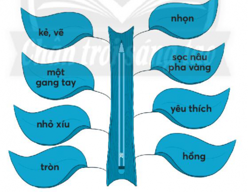 [CTST] Giải VBT Tiếng Việt 2 bài 2: Thời khóa biểu