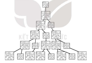  F0 = 0, F1 = 1,..... Fn= Fn-1 + Fn-2; (Với n lớn hơn hoặc bằng 2). Điều thú vị là dãy số này nảy sinh từ một bài toán thực tế - bài toán đếm thỏ