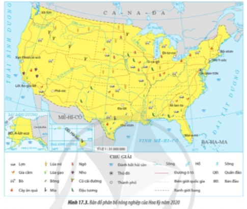 Bản đồ phân bố nông nghiệp Hoa Kỳ năm 2020 và kể tên những cây trồng ở phía đông Hoa Kỳ.