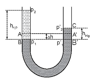 Người ta đổ thêm 100 cm3 nước vào một nhánh của một bình hình chữ U có hai nhánh giống nhau đang chứa thủy ngân