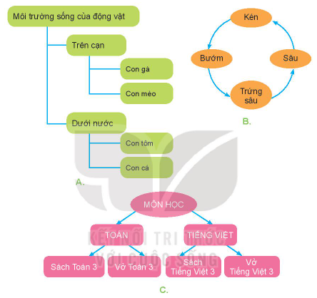 Giải bài 8 Sơ đồ hình cây. Tổ chức thông tin trong máy tính