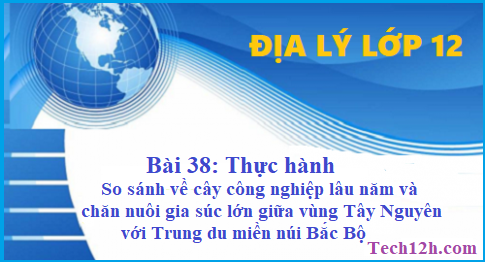 Giải bài 38 địa lí 12 thực hành so sánh về cây công nghiệp lâu năm và chăn nuôi gia súc lớn giữa vùng Tây Nguyên với trung du và miền núi Bắc Bộ