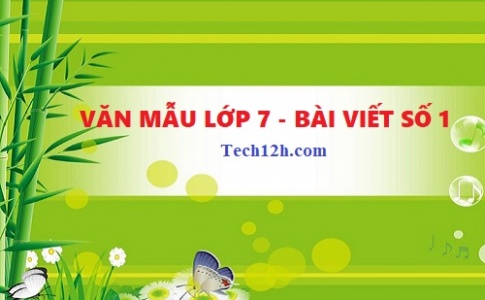 Tổng hợp bài viết số 1 ngữ văn 7 hay nhất với đầy đủ các đề